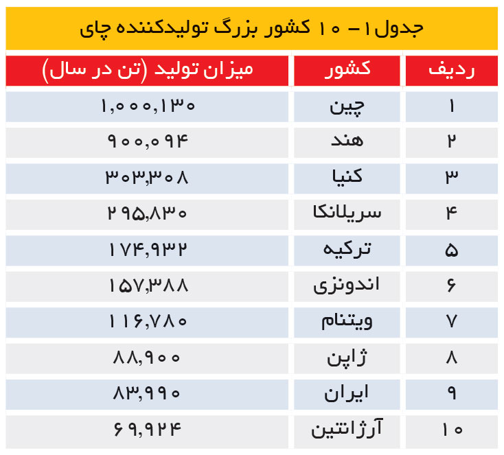 تجارت فردا- 10 کشور بزرگ تولیدکننده چای