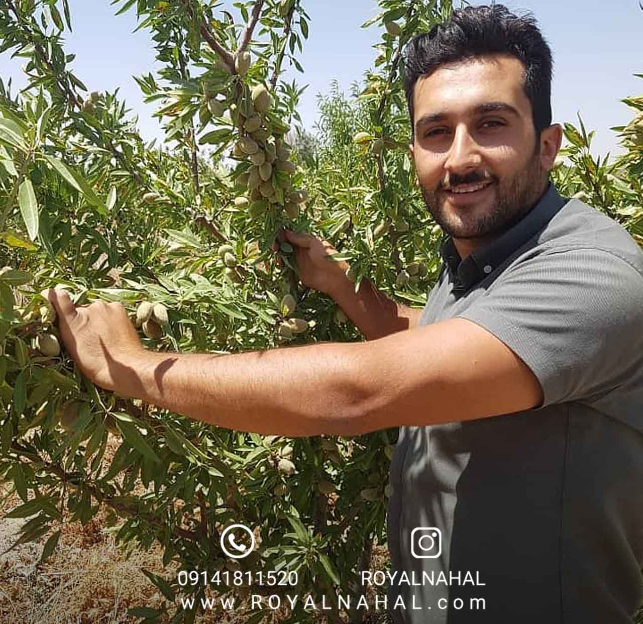 ارقام اصلاحشده