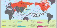 مجمع دیوانگان