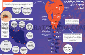 رتبه بندی مرگبارترین موجودات برای انسان
