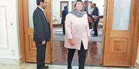 شور هلندی