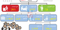 پراکندگی رشد