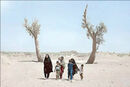 سوگ اقلیمی