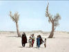 سوگ اقلیمی