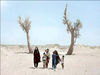 سوگ اقلیمی