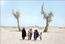 سوگ اقلیمی