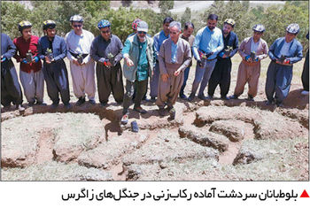 بلوط‌بانان پا‌‌به‌رکاب

