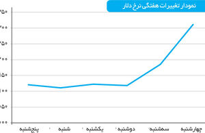نوسان سیاسی بازار ارز