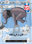 فیل در فروشگاه