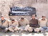 آلبوم جامعه