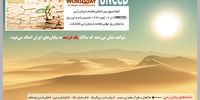 یک بیابان ثروت
