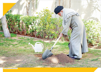اهمیت رشد