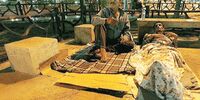بیتوته در خیابان