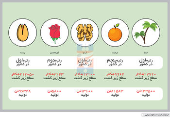 سختی رویش