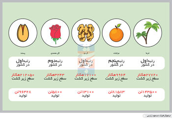 سختی رویش