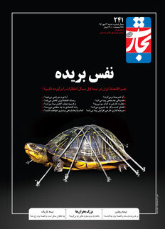 نفس بریده