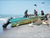 هزینه فهرست غذا 
