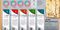 یارانه نان و خرید تضمینی گندم