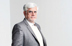 هیچ وقت نگفتم نظام مرا درآب نمک خوابانده است