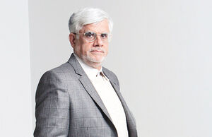 هیچ وقت نگفتم نظام مرا درآب نمک خوابانده است