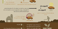 قیمت خاک