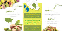 مرگ شرافتمندانه