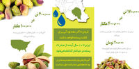 مرگ شرافتمندانه