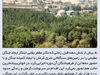همت سبز