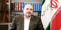 دولت‌زدگی بیمه