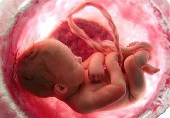 پره اکلامپسی یا مسمومیت بارداری چیست و چه زمانی شروع میشود؟