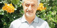 احیای یک سازمان تسهیل‌گر به جای تصدی‌گر