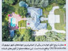 گرگ وال‌استریت

