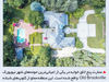 گرگ وال‌استریت

