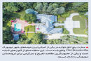 گرگ وال‌استریت


