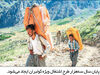 حکم پدر رومینا قطعی نیست

