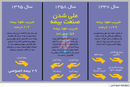 خوب و بد ملی‌سازی