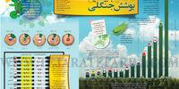 ۱۵ کشـور با بیشترین پوشش جنگلی