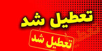 زیان غیرقابل محاسبه