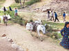 محنت جویندگان آب