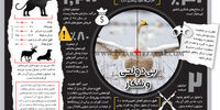 بی‌دولتی و شکار 