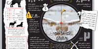 بی‌دولتی و شکار 