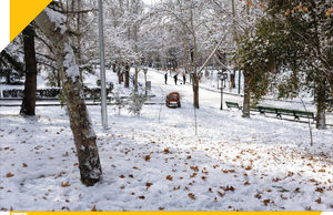 برف شادی