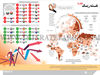 نقـشه ریسک 2023