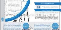 صندوقی برای تمام فصول