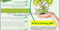 کشاورزی متمرکز در یک نما