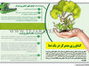 کشاورزی متمرکز در یک نما