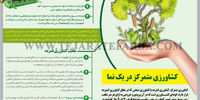 کشاورزی متمرکز در یک نما