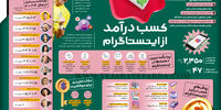 کسب درآمد از اینستاگرام