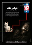 تنها در خانه