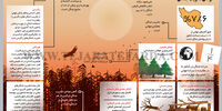 عوامل تخریب جنگل